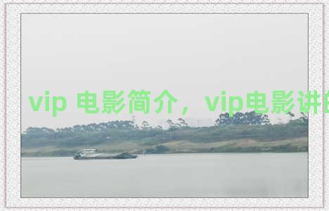 vip 电影简介，vip电影讲的是什么